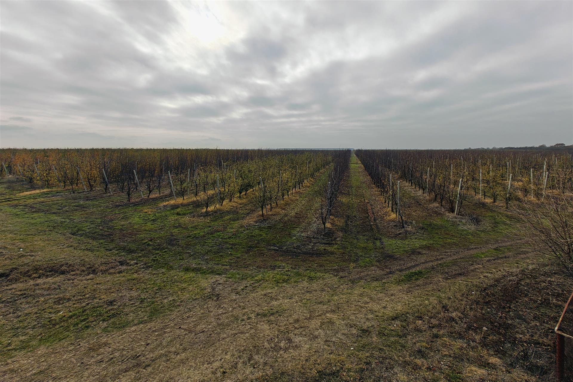 Фото №3: Коммерция 1614 м² - Республика Адыгея (Адыгея) Теучежский район