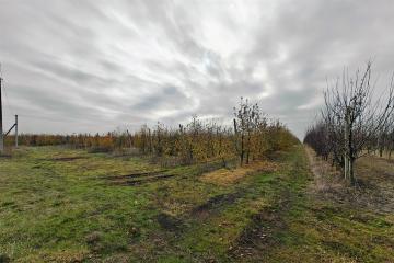 Фото №1: Коммерция 1614 м² - Республика Адыгея (Адыгея) Теучежский район