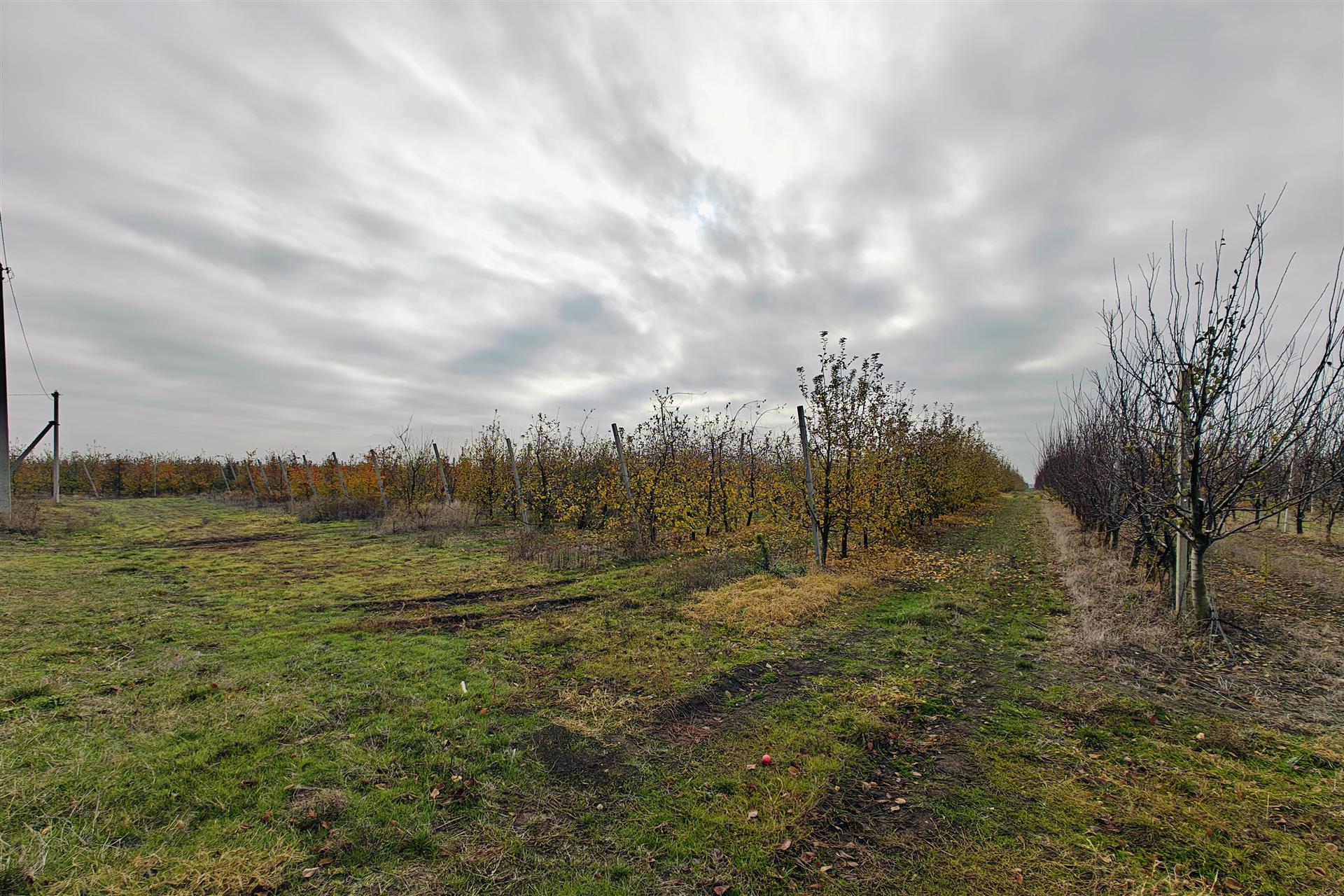 Фото №1: Коммерция 1614 м² - Республика Адыгея (Адыгея) Теучежский район