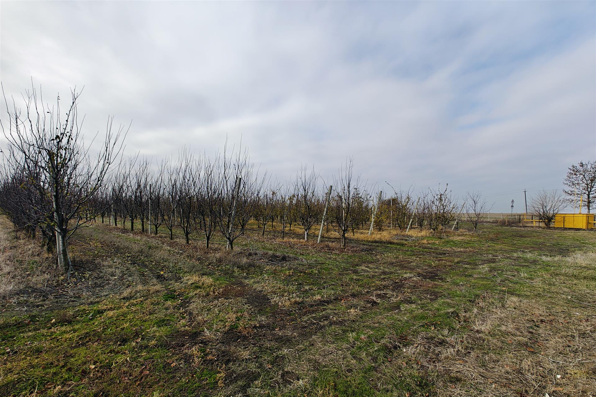 Фото №12: Коммерция 1614 м² - Республика Адыгея (Адыгея) Теучежский район