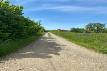 Фото №3: Земельный участок 5 сот. - Рассвет, ул. Персиковая, 44