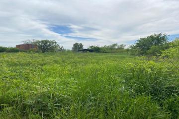 Фото №1: Земельный участок 6.5 сот. - Восход, мкр. Черёмушки, ул. Береговая, 17