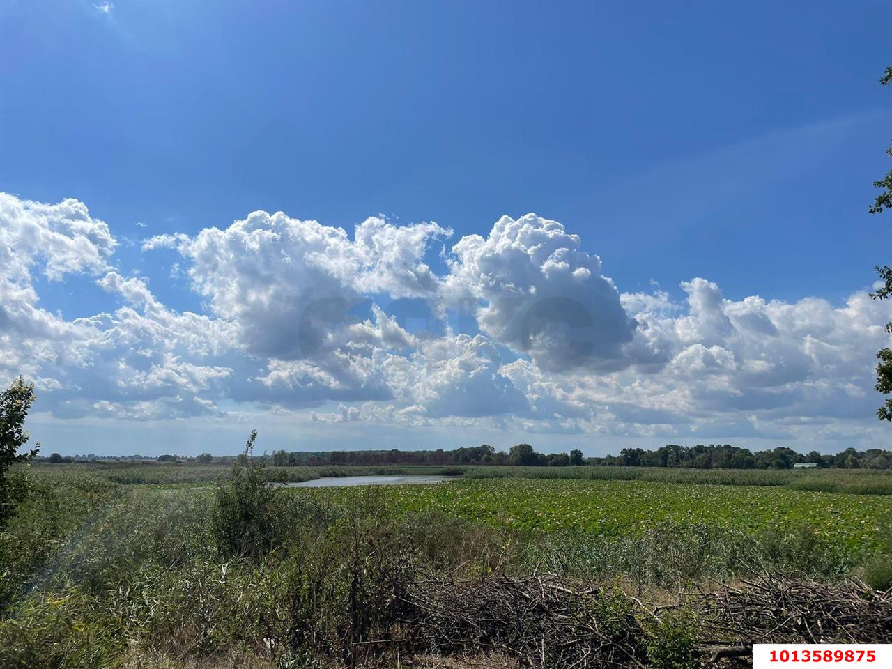 Фото №7: Коммерческая земля 173 сот. - Краснодарский край городской округ Краснодар