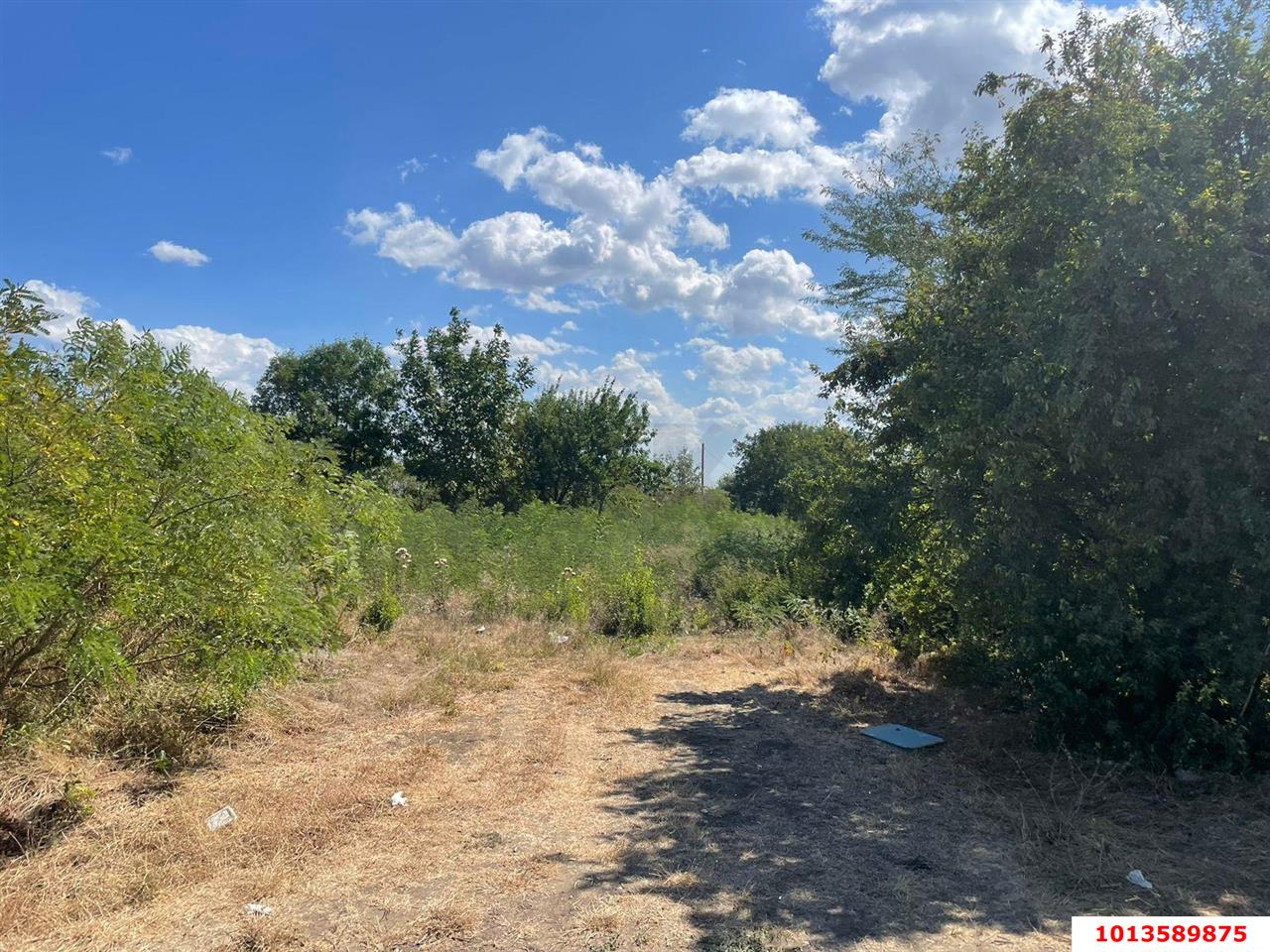 Фото №8: Коммерческая земля 173 сот. - Краснодарский край городской округ Краснодар