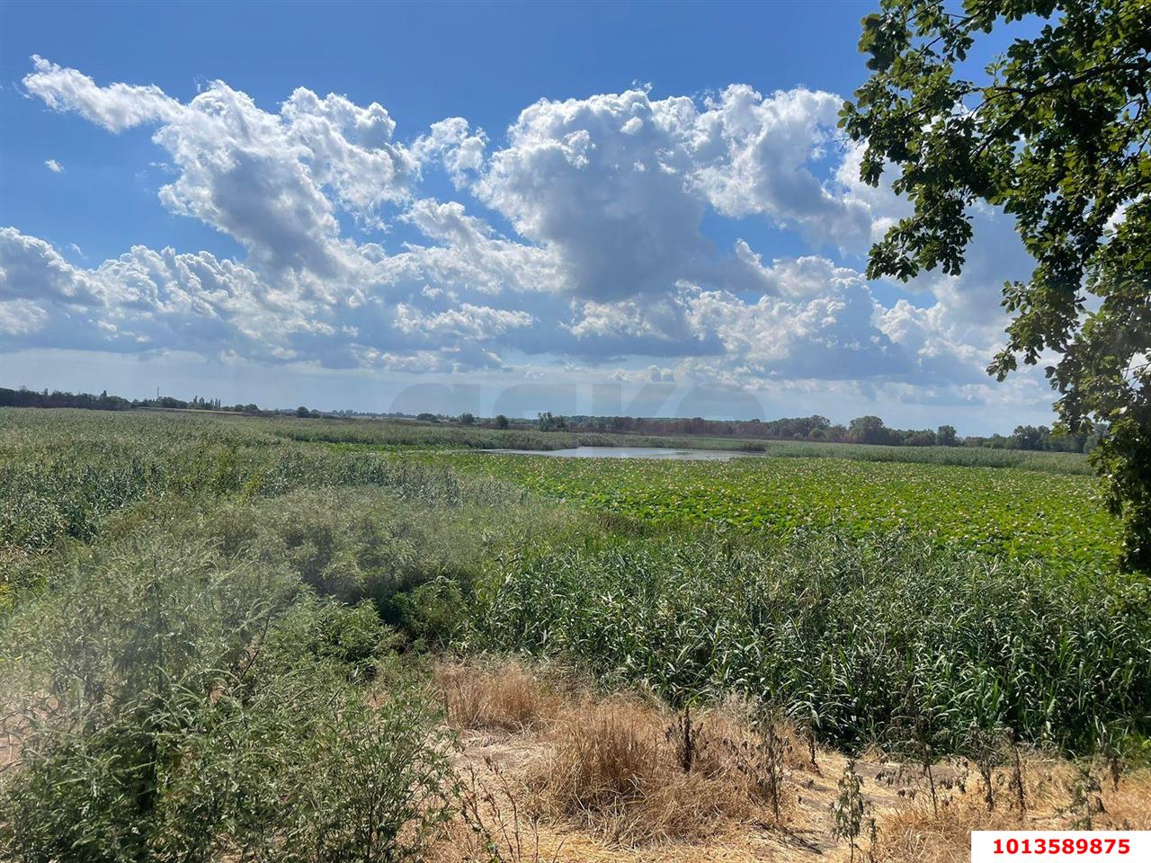 Фото №10: Коммерческая земля 173 сот. - Краснодарский край городской округ Краснодар