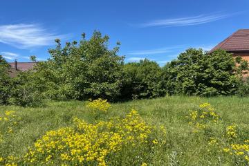 Фото №2: Земельный участок 4.1 сот. - Янтарь, мкр. Прикубанский внутригородской округ, ул. Яблоневая, 235