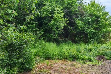 Фото №4: Земельный участок под ИЖС 10 сот. - Васюринская, 