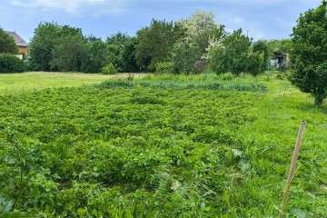 Фото №3: Земельный участок под ИЖС 10 сот. - Васюринская, 