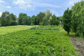 Фото №2: Земельный участок 10 сот. - Васюринская, 