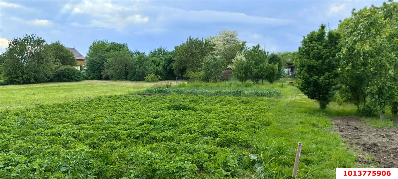 Фото №2: Земельный участок под ИЖС - Васюринская