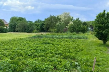 Фото №2: Земельный участок под ИЖС 10 сот. - Васюринская, 