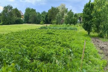 Фото №3: Земельный участок 10 сот. - Васюринская, 