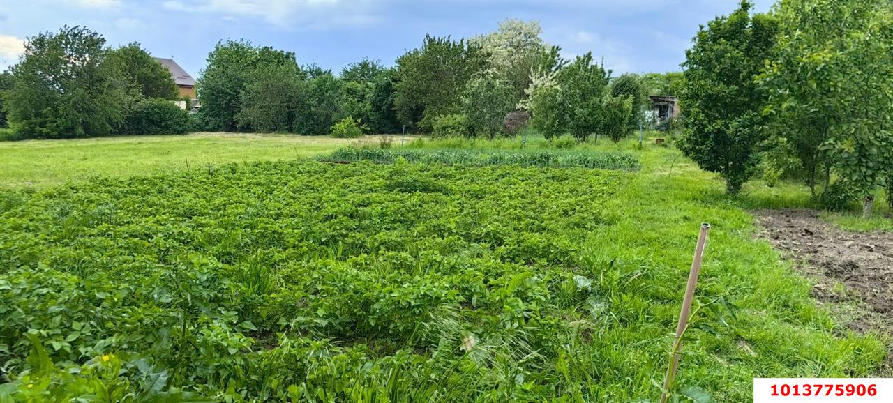 Фото №3: Земельный участок под ИЖС - Васюринская