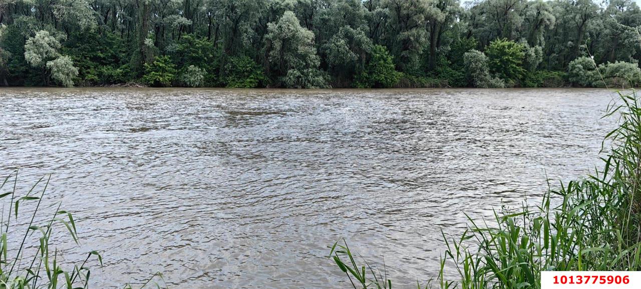 Фото №6: Земельный участок под ИЖС 10 сот. - Васюринская