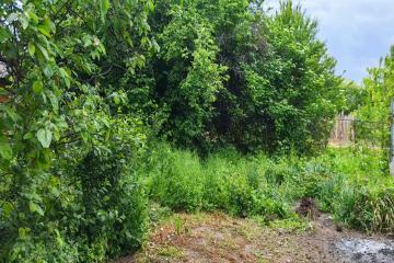 Фото №4: Земельный участок 10 сот. - Васюринская, 