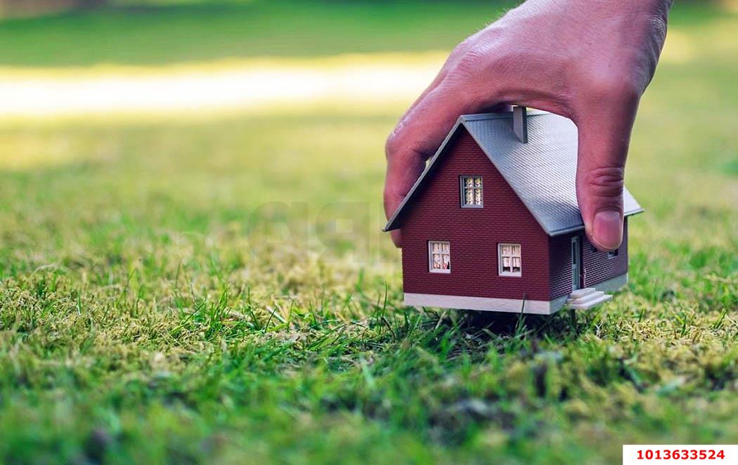 Фото №5: Земельный участок 6 сот. - Новый, ул. Васильковая, 13