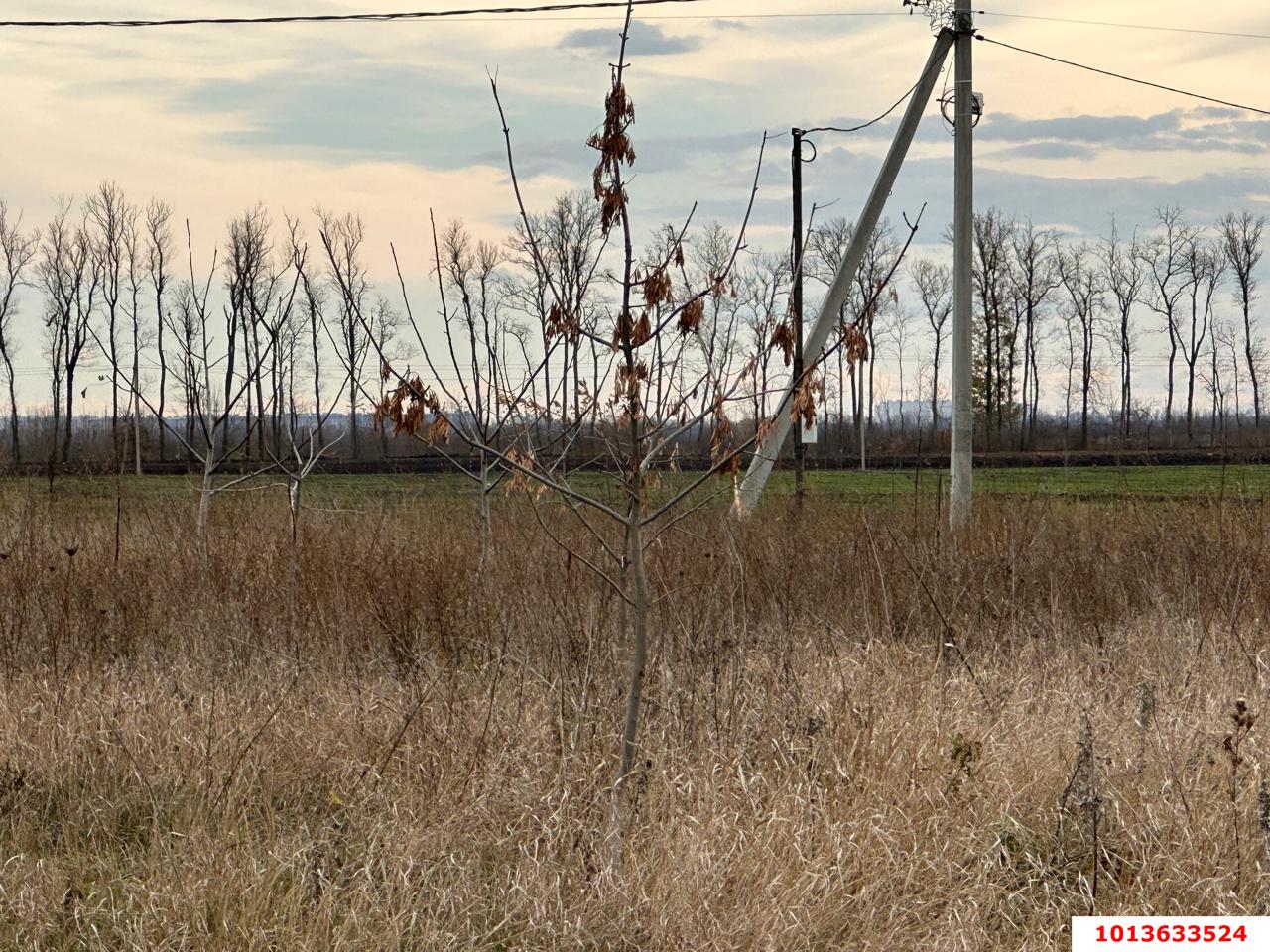 Фото №7: Земельный участок под ИЖС 6 сот. - Новый, Прикубанский внутригородской округ, ул. Васильковая, 13