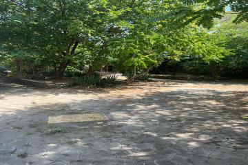 Фото №5: Коммерция 570 м² - Краснодар, мкр. Центральный, ул. Ленина, 53