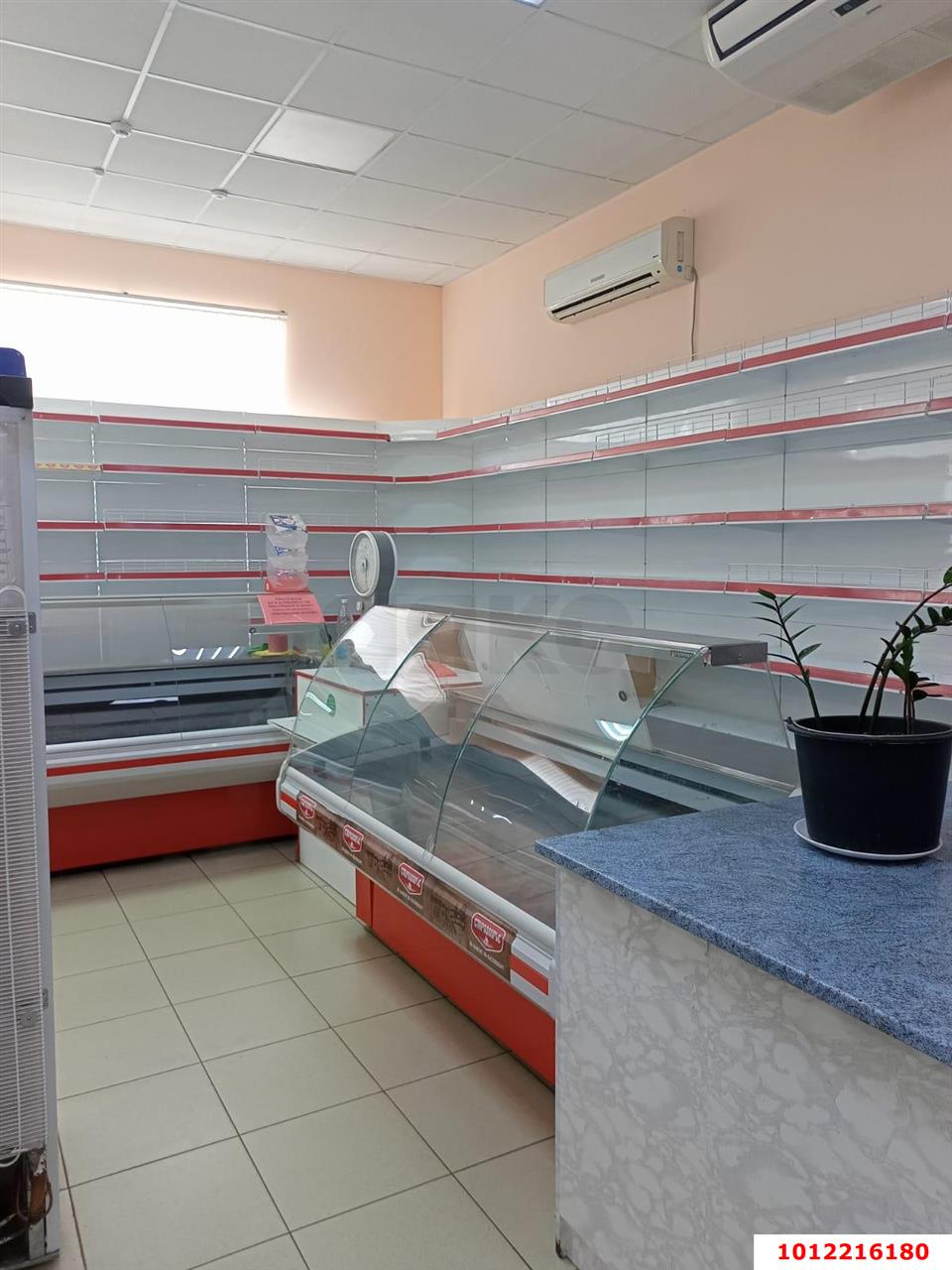 Фото №4: Торговое помещение 124 м² - Приморско-Ахтарск, ул. Пролетарская, 5