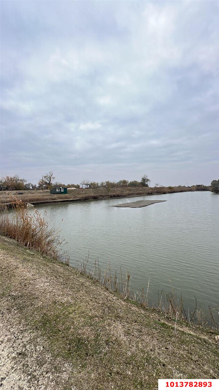 Фото №6: Коммерческая земля 205 сот. - Голубая Нива, 