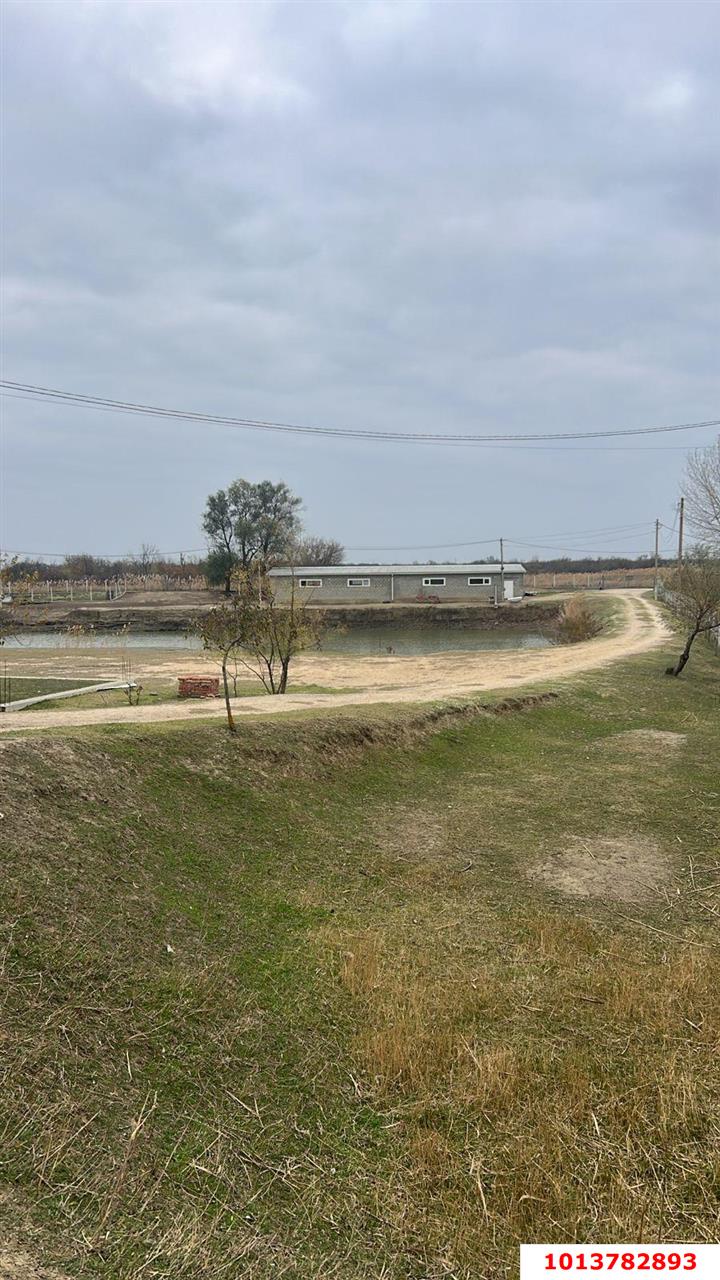 Фото №3: Коммерческая земля 205 сот. - Голубая Нива, 