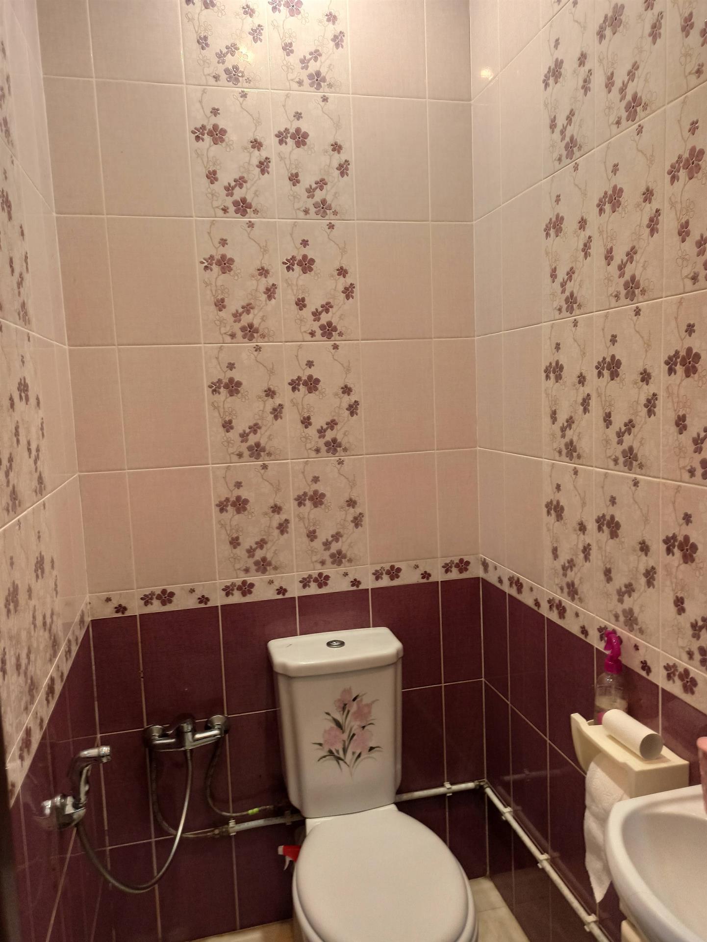 Фото №14: Дом 162 м² + 9.9 сот. - Марьянская, ул. Красноармейская