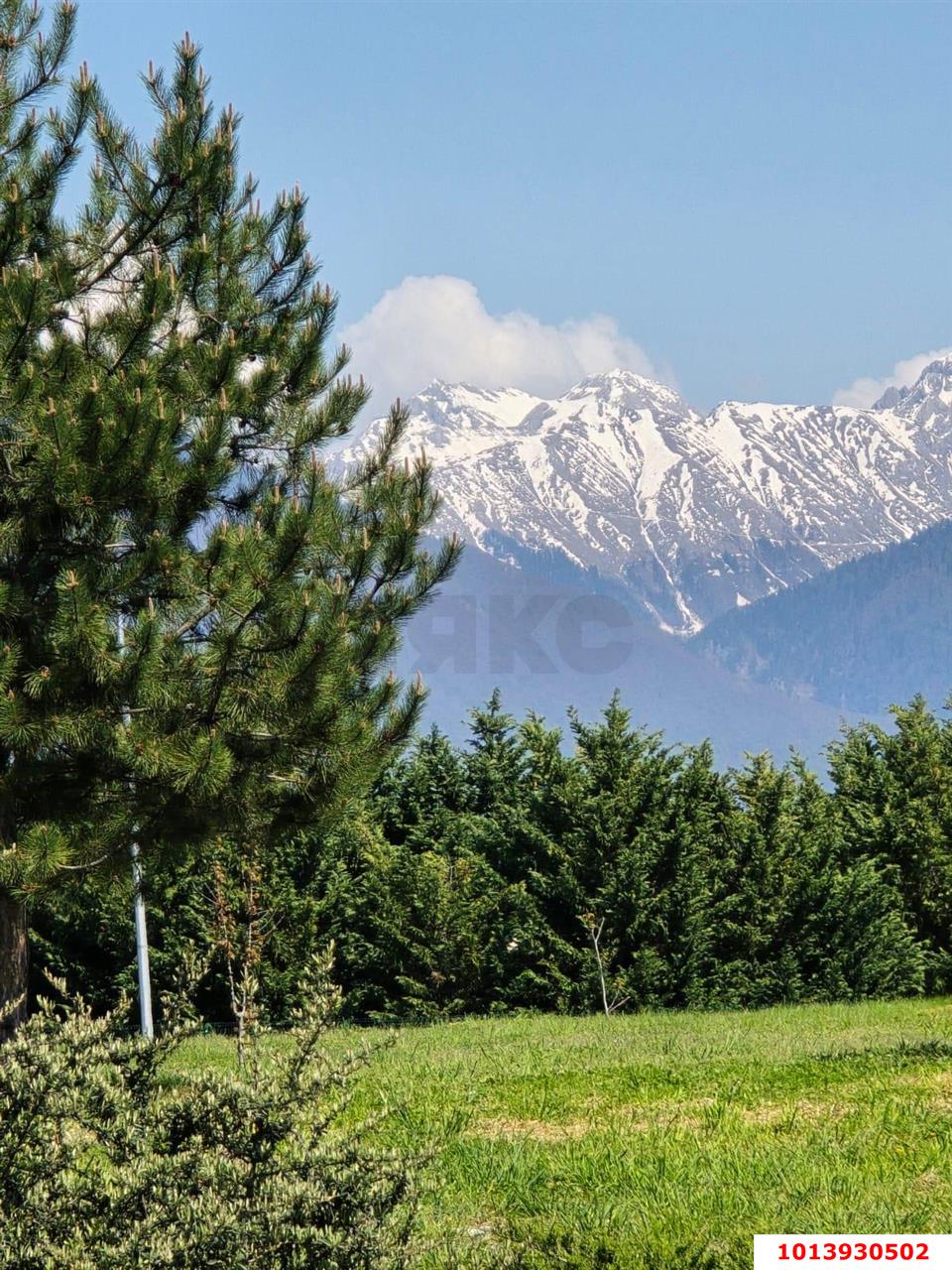 Фото №14: Студия 32 м² - Сочи, Лоо, ул. Декабристов, 25