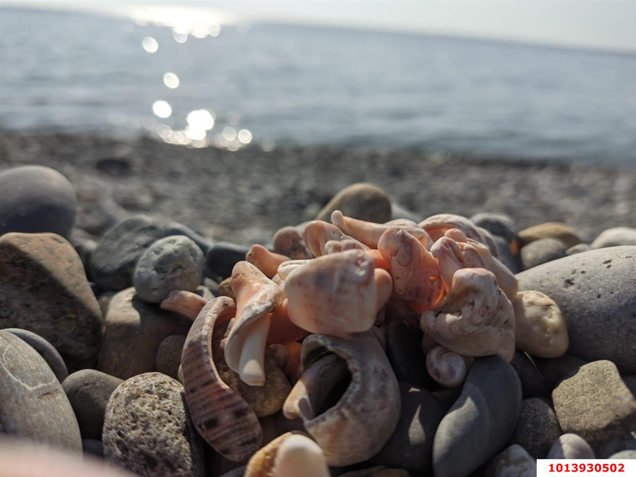 Фото №13: Студия 32 м² - Сочи, Лазаревский, п. Лоо, ул. Декабристов, 25