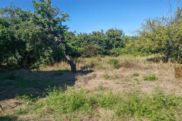 Фото №1: Земельный участок 6.59 сот. - Елизаветинская, ст Труженик, ул. Вишнёвая, 42