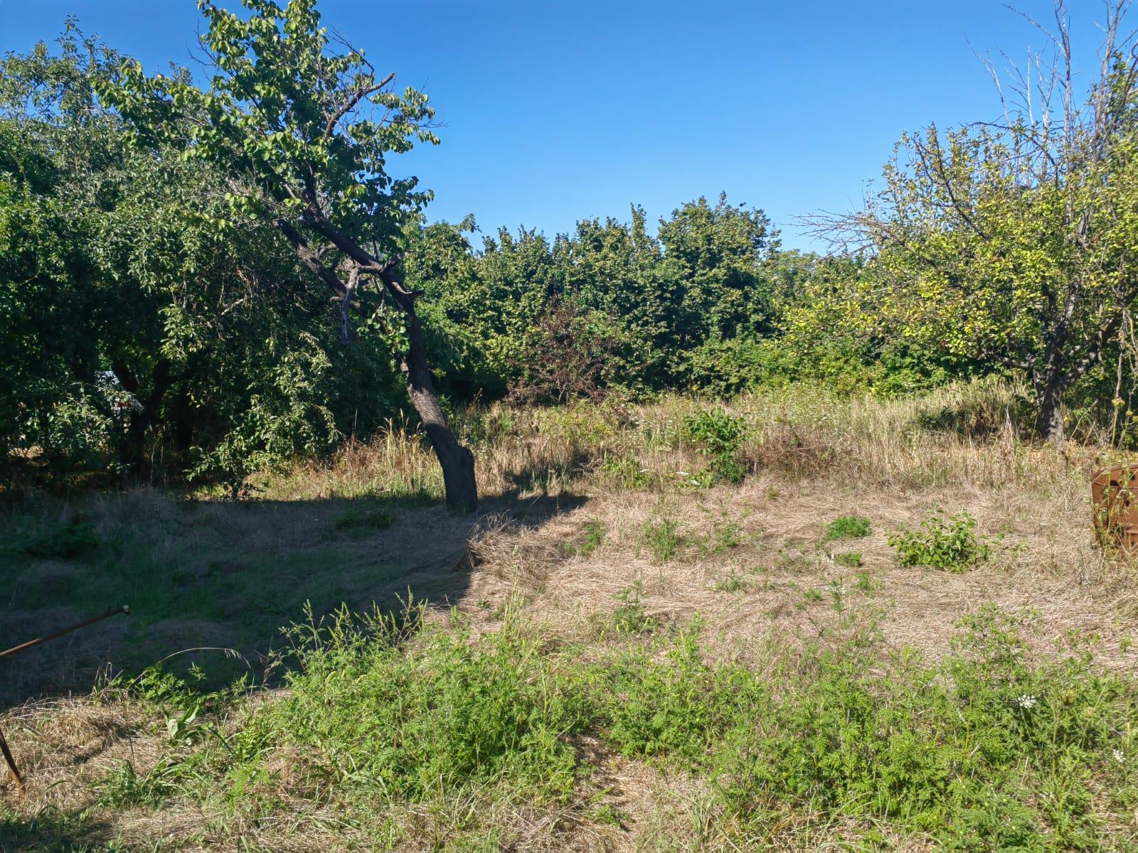 Фото №1: Земельный участок 6.59 сот. - Елизаветинская, ул. Вишнёвая, 42