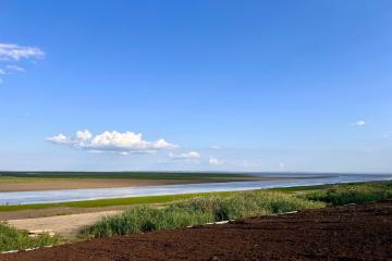 Фото №1: Земельный участок 4.66 сот. - Старокорсунская, мкр. ДНТ Прибрежный, ул. 9-я Викторианская, 27