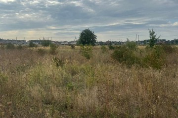 Фото №2: Участок садоводство 4.47 сот. - Старокорсунская, мкр. ДНТ Прибрежный, ул. 11-я Викторианская, 11