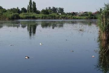 Фото №3: Земельный участок 18 сот. - Красносельское, мкр. жилой комплекс Империал, ул. Длинная, 48