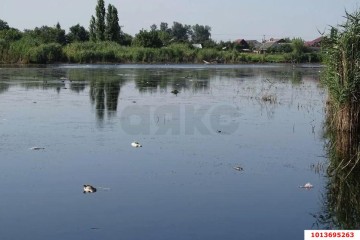 Фото №3: Земельный участок под ИЖС 18 сот. - Красносельское, ул. Длинная, 48