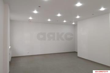 Фото №3: Коммерция 48 м² - Краснодар, мкр. жилой комплекс Дружный, ул. Адмирала Серебрякова, 3/1