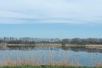 Фото №1: Часть дома 23 м² - Дальний, ул. Центральная, 25