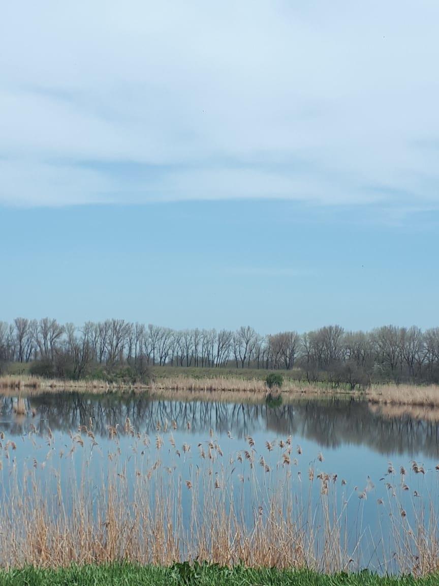 Фото №1: Часть дома 23 м² + 5.6 сот. - Дальний, ул. Центральная, 25