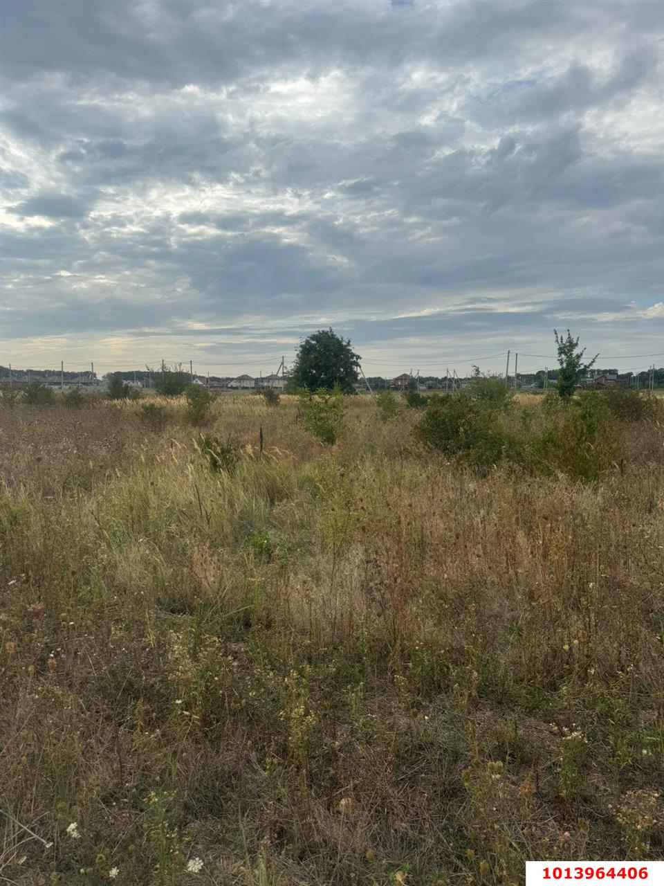 Фото №2: Личное подсобное хозяйство - Старокорсунская, Карасунский внутригородской округ, мкр. ДНТ Прибрежный