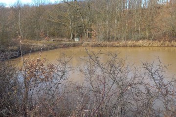 Фото №5: Коммерческая земля 977 сот. - Ильский, 