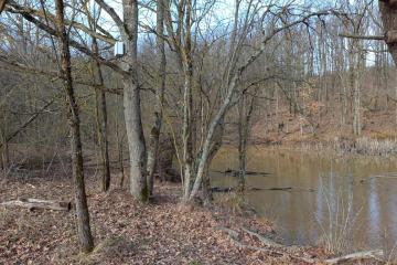 Фото №4: Коммерция 976 м² - Ильский, 