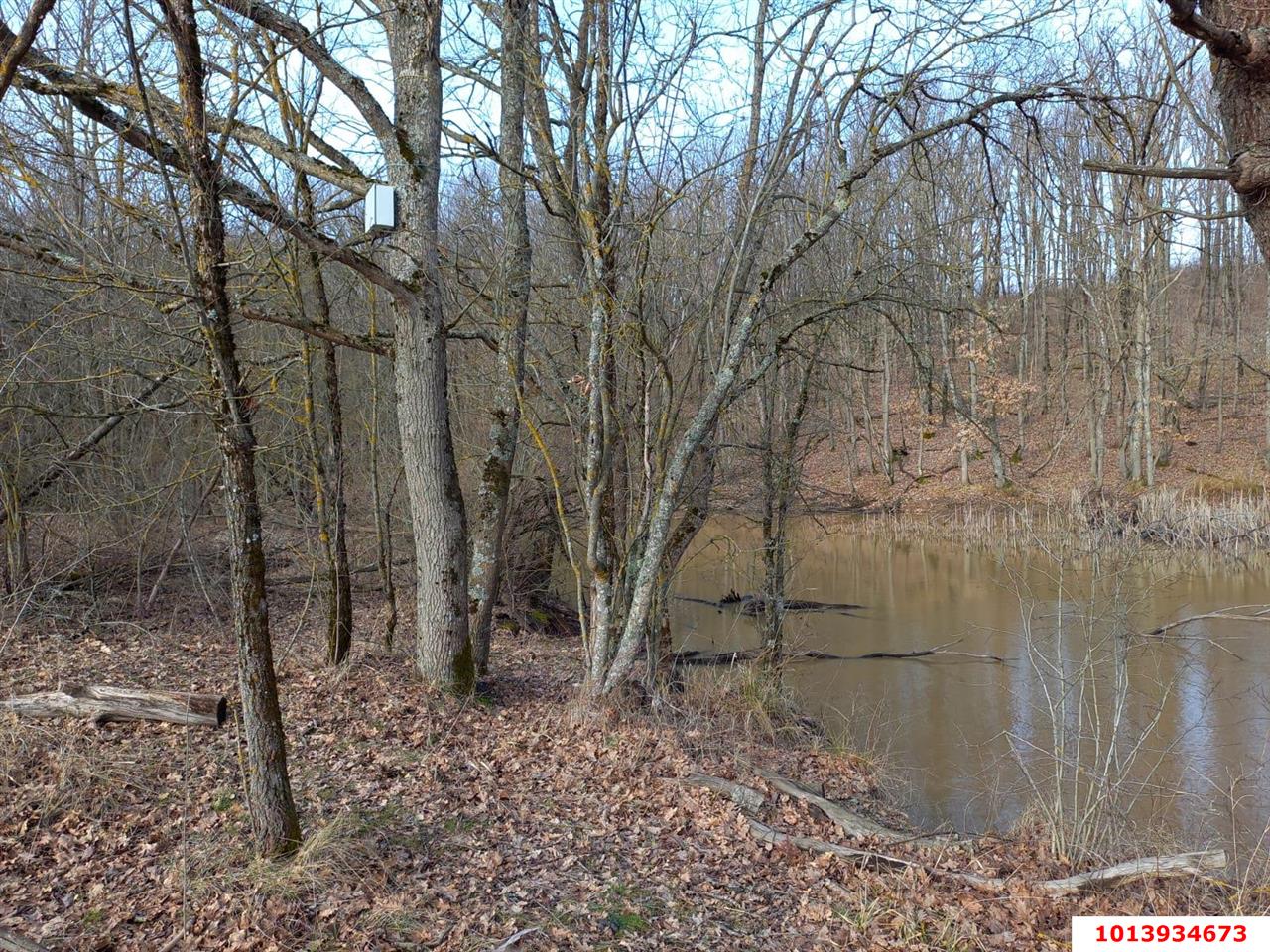 Фото №4: Коммерция 976 м² - Ильский