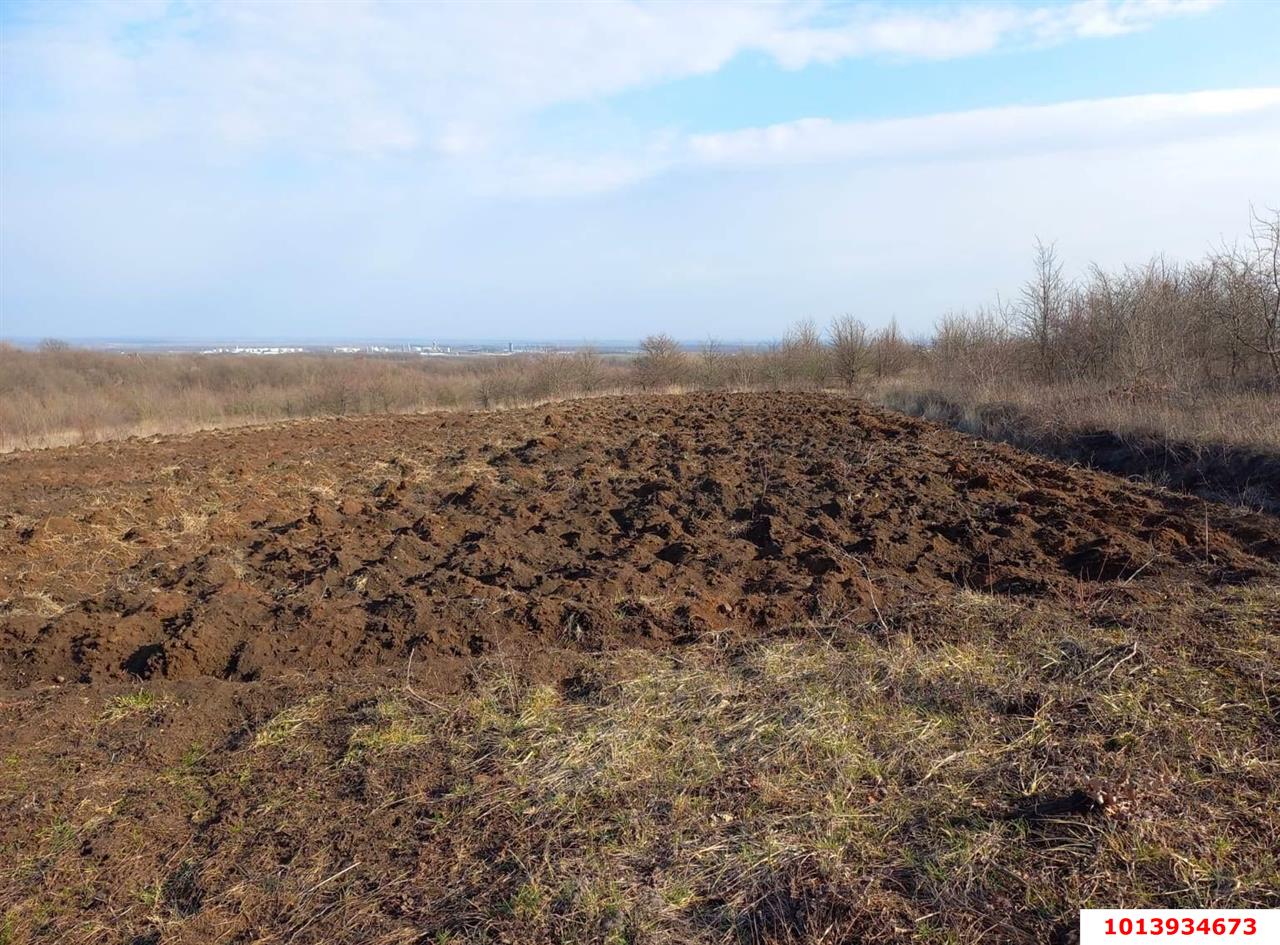 Фото №2: Коммерция 976 м² - Ильский