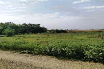 Фото №4: Земельный участок 30 сот. - Красный, ул. Пролетарская, 13