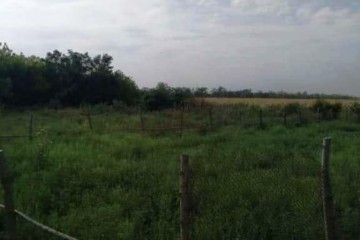 Фото №3: Земельный участок под ИЖС 30 сот. - Красный, ул. Пролетарская, 13