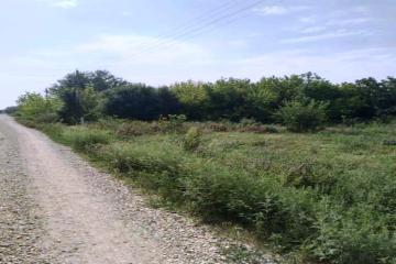 Фото №2: Земельный участок 30 сот. - Красный, ул. Пролетарская, 13