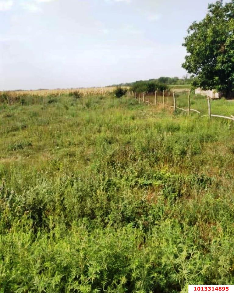 Фото №8: Земельный участок под ИЖС 30 сот. - Красный, ул. Пролетарская, 13