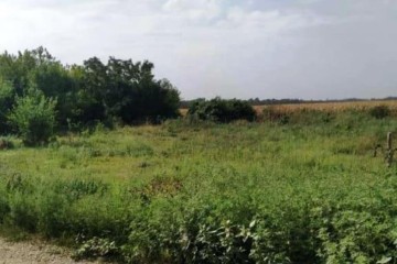 Фото №4: Земельный участок под ИЖС 30 сот. - Красный, ул. Пролетарская, 13