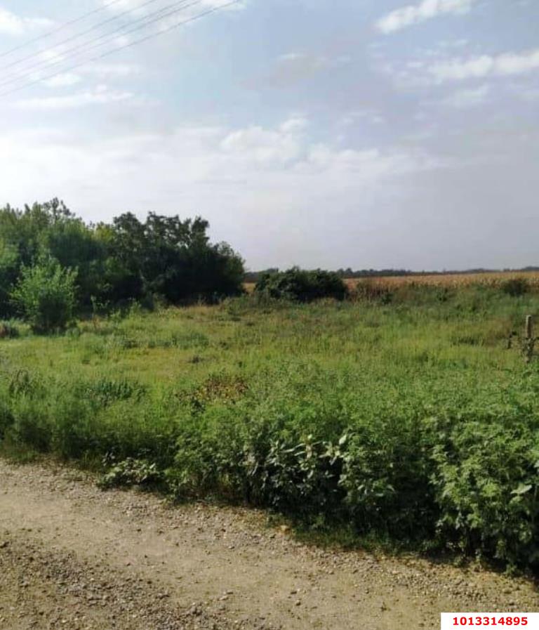 Фото №4: Земельный участок под ИЖС 30 сот. - Красный, ул. Пролетарская, 13