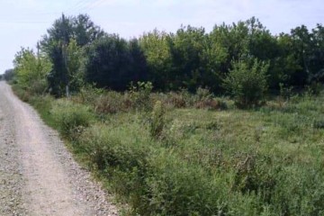 Фото №2: Земельный участок под ИЖС 30 сот. - Красный, ул. Пролетарская, 13