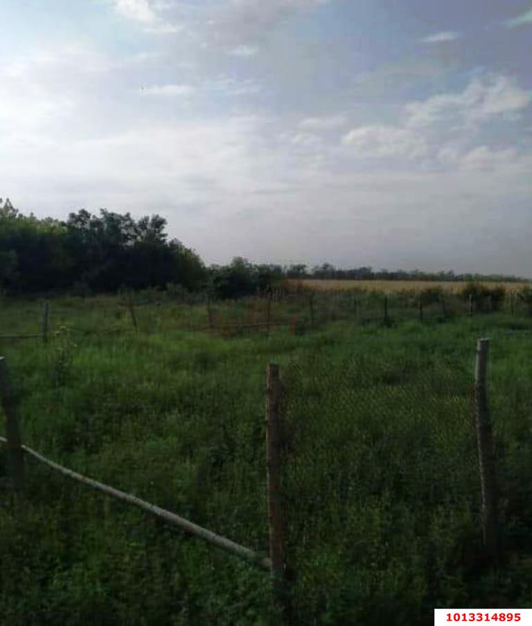 Фото №3: Земельный участок под ИЖС - Красный, ул. Пролетарская, 13